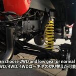 tamiya monster beetle sebenar 10