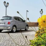 Mitsuoka Viewt 2023 06