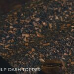 porsche 911 restomod telur dan kopi 02