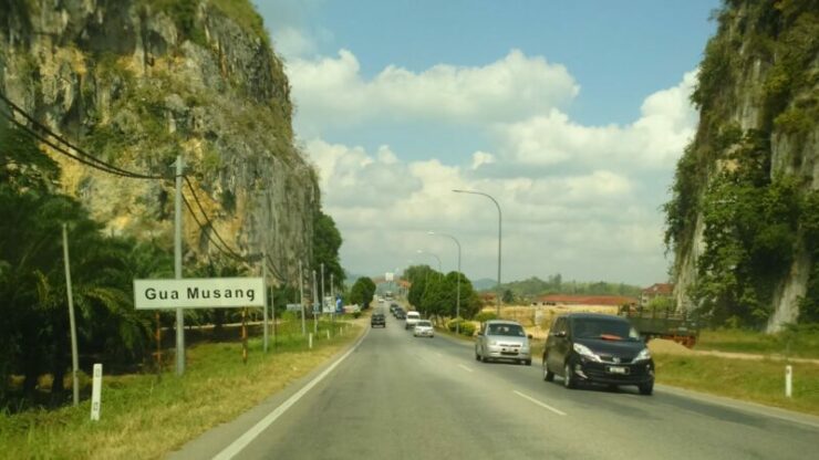 gua musang