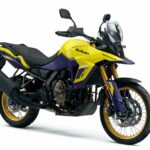Suzuki V-Strom 800DE 04