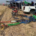 petani thai drag race 11