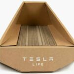 tesla cybertruck kucing 02