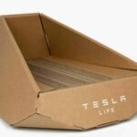 tesla cybertruck kucing 03