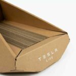 tesla cybertruck kucing 04