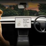 tesla model 3 malaysia 08