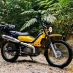 Aveta Ranger Max Explorer 06