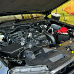 ford everest wildtrak 01