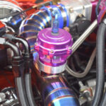 terpaling havoc 2023 07