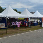 terpaling havoc 2023 12