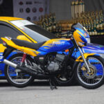 terpaling havoc 2023 25