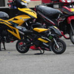 terpaling havoc 2023 26