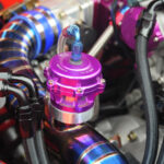 terpaling havoc 2023 33