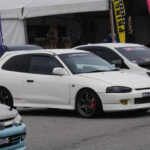 terpaling havoc 2023 53