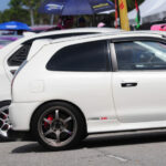 terpaling havoc 2023 68