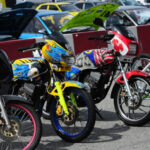 terpaling havoc 2023 77