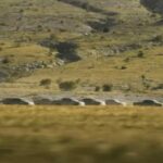 toyota hilux iklan haram 04