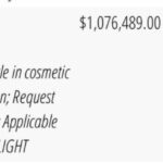 bumbung laferrari 02