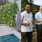 caltex fuel your school 05