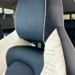 chery omoda e5 launch 39