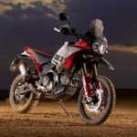 MY_2024_DESERTX_RALLY _84__UC557616_High