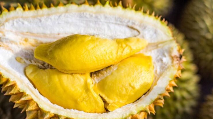 durian
