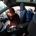 Volvo EX30 first impression 26