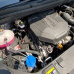 Kia Carnival 8 seater pandu uji 30