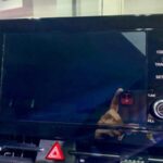 Kia Sportage launch 18