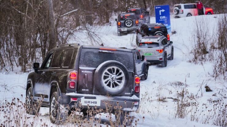 GWM Ice & Snow Festival 2025 (5)