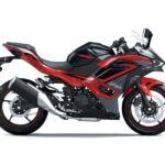 Modenas Ninja 500 10