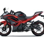 Modenas Ninja 500 12