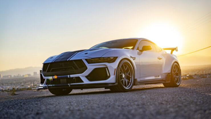 2026_supersnaker_gallery_01