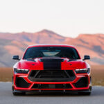 2026_supersnaker_gallery_02