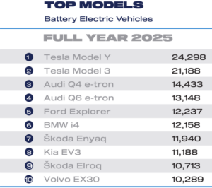 FY 2025 top 10 BEV cars