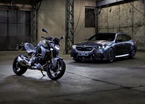 Model naked BMW F 900 R Frozen Grey